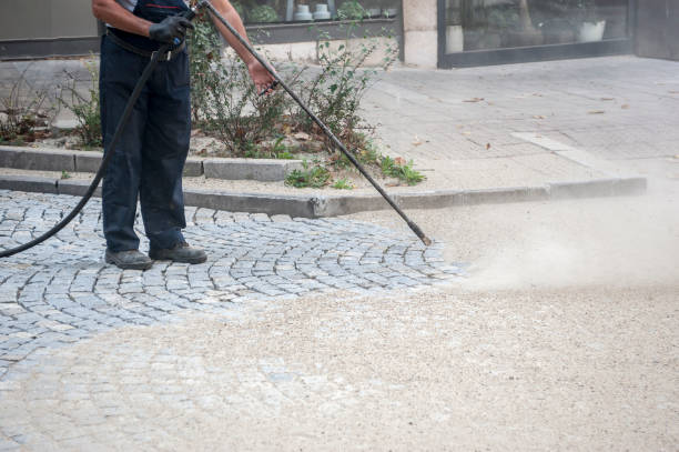 Best Pre-Holiday Cleaning  in Ypsilanti, MI